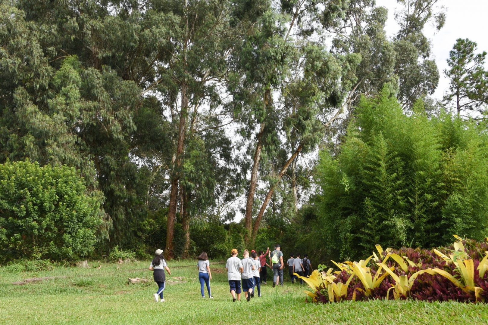 Trilha ecológica - Meio Ambiente nas Escolas