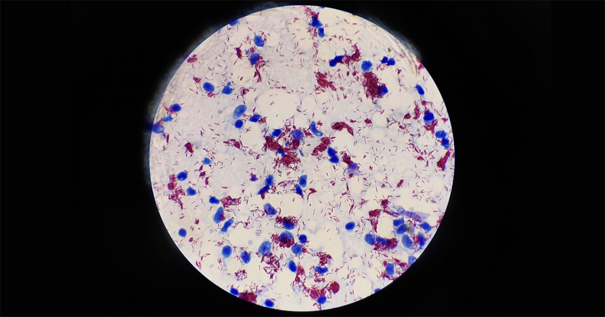 Inteligência artificial